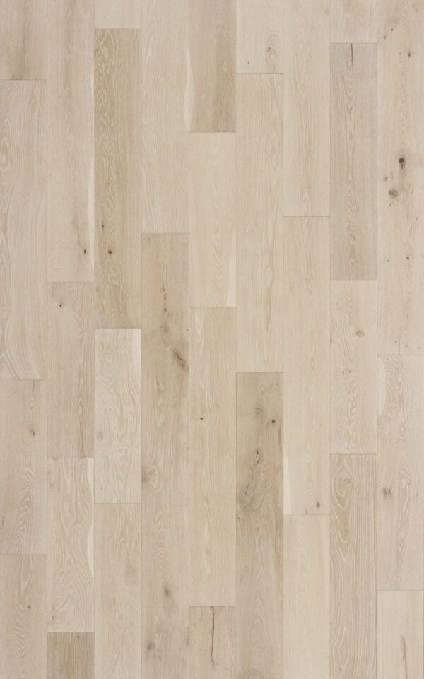 Shore Drive - Image 2