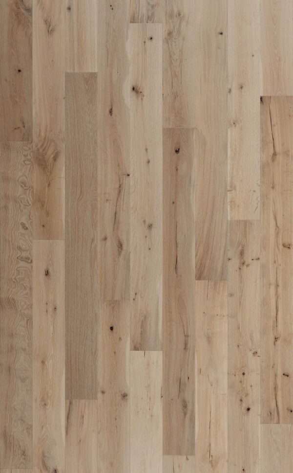 Soundview - Image 2